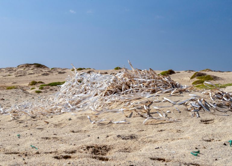 Cabo Verde, Landscapes, Nature, People 2018, Dirk Heurich