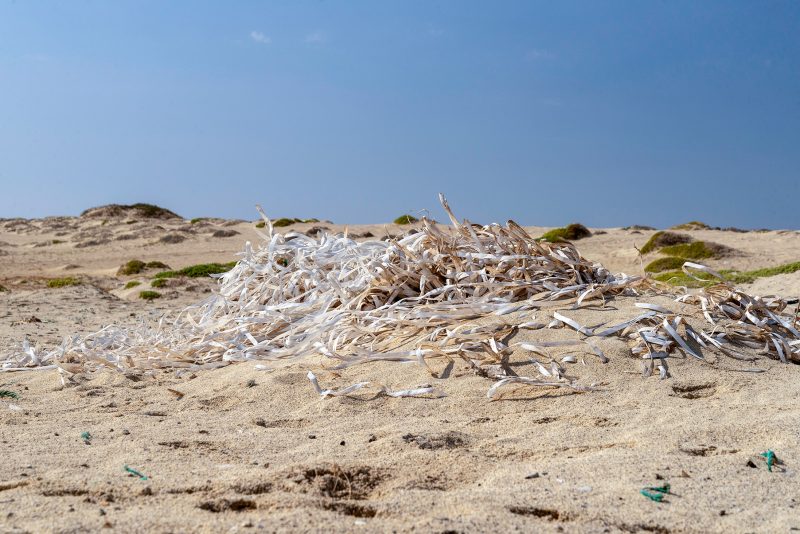 Cabo Verde, Landscapes, Nature, People 2018, Dirk Heurich
