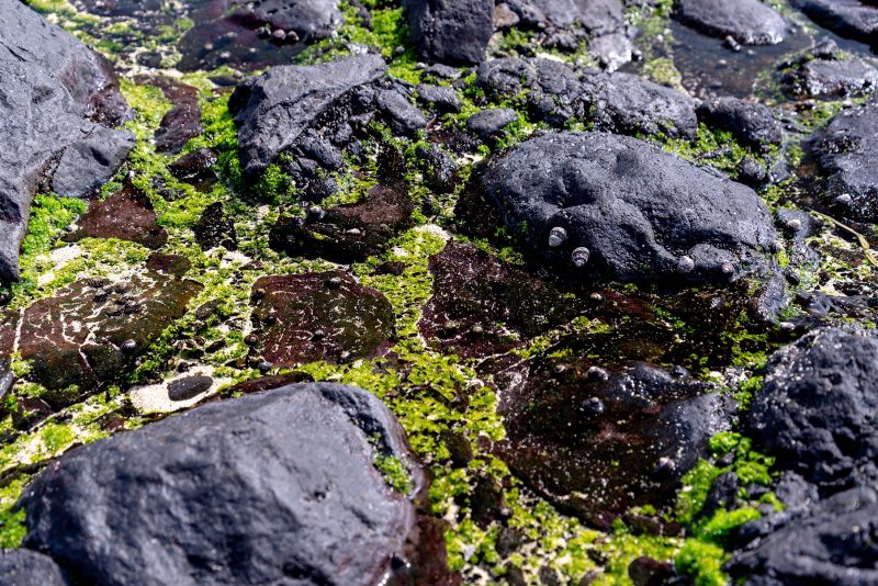 Cabo Verde, Landscapes, Nature, People 2018, Dirk Heurich