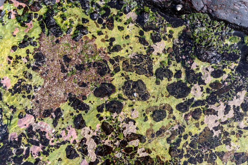 Cabo Verde, Landscapes, Nature, People 2018, Dirk Heurich