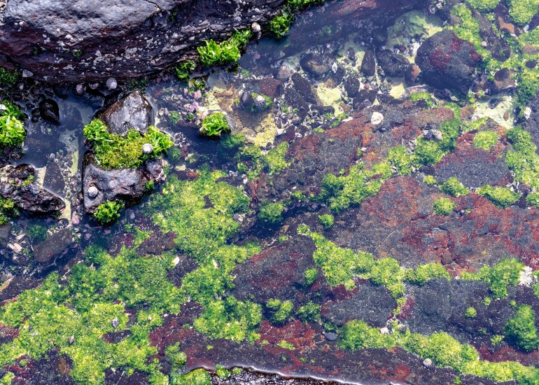 Cabo Verde, Landscapes, Nature, People 2018, Dirk Heurich