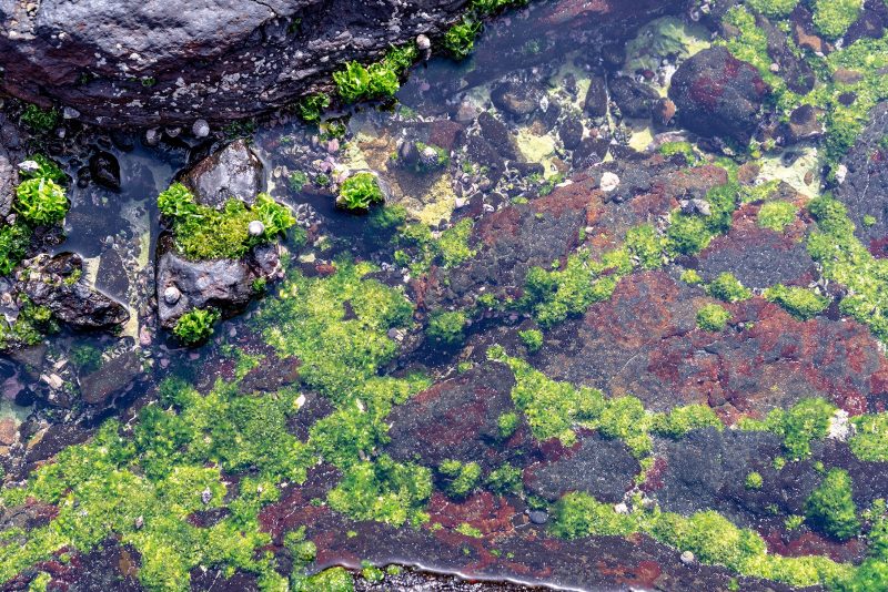 Cabo Verde, Landscapes, Nature, People 2018, Dirk Heurich