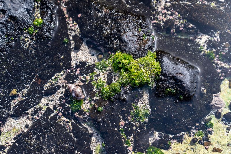 Cabo Verde, Landscapes, Nature, People 2018, Dirk Heurich