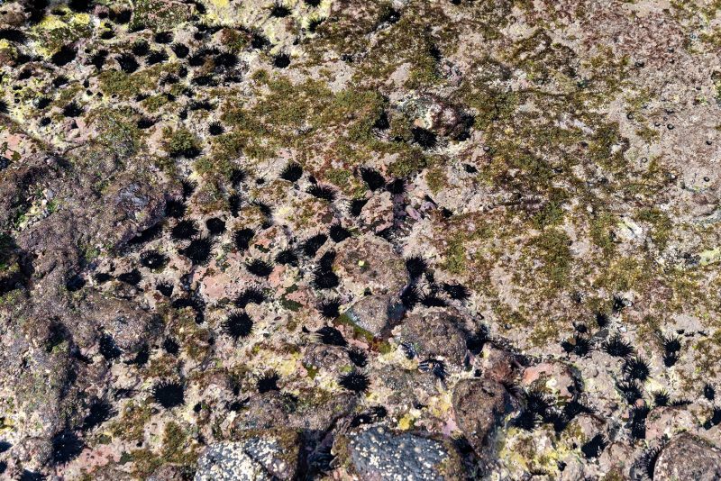 Cabo Verde, Landscapes, Nature, People 2018, Dirk Heurich