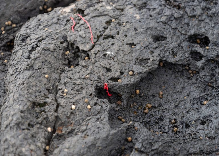 Cabo Verde, Landscapes, Nature, People 2018, Dirk Heurich
