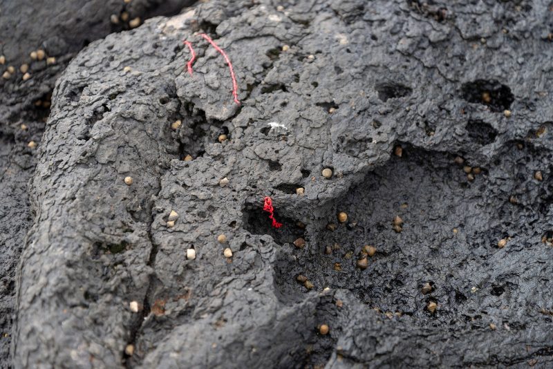 Cabo Verde, Landscapes, Nature, People 2018, Dirk Heurich