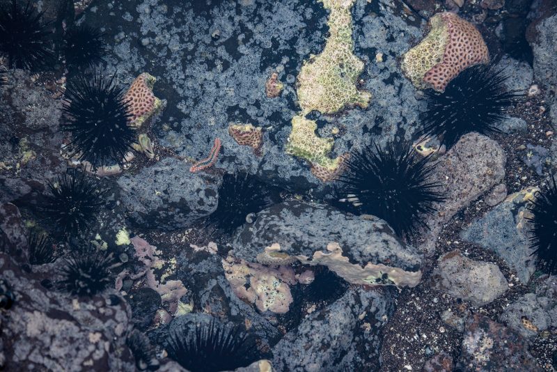 Cabo Verde, Landscapes, Nature, People 2018, Dirk Heurich
