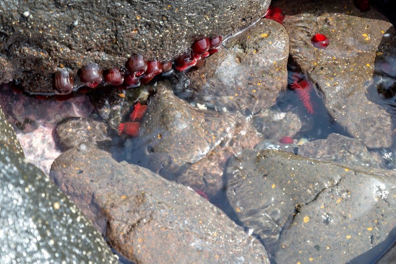 Cabo Verde, Landscapes, Nature, People 2018, Dirk Heurich
