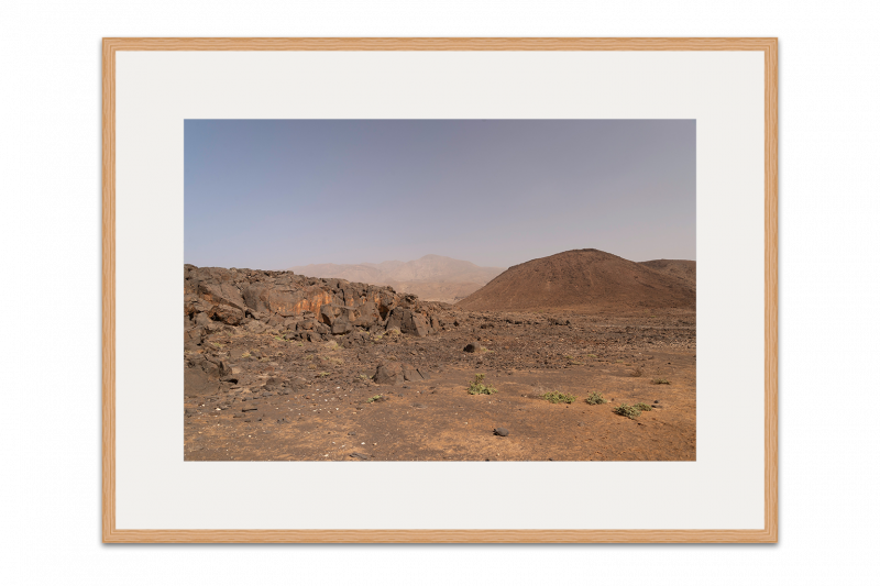 There is life on Mars framed dirksn