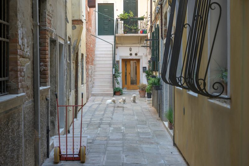 © Dirk Heurich, dirksn.com, 2021