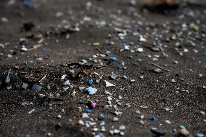 Human Nature, Cape Verde, 2022 © Dirk Heurich, dirksn.com