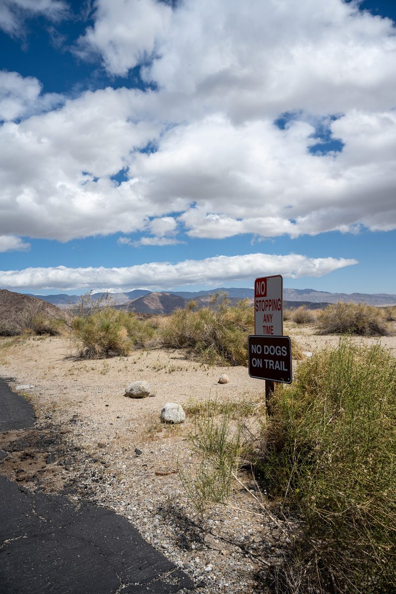 San Diego, USA 2022 © Dirk Heurich, dirksn.com