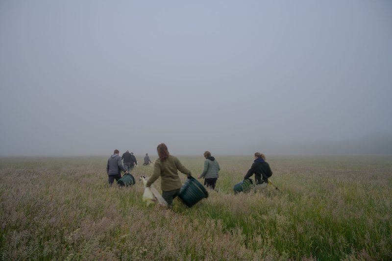 Rehkitzrettung Tarbek, © Dirk Heurich, dirksn.com