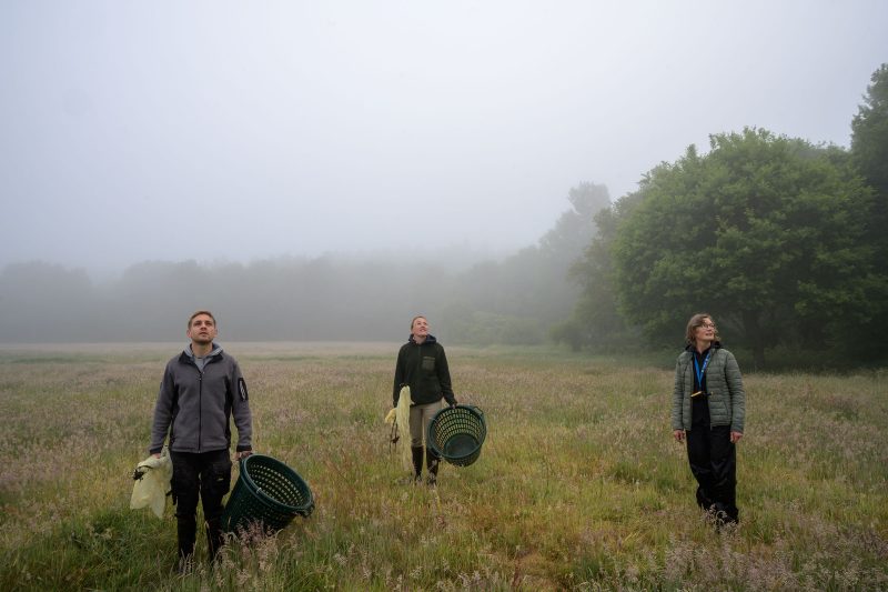 Rehkitzrettung Tarbek, © Dirk Heurich, dirksn.com