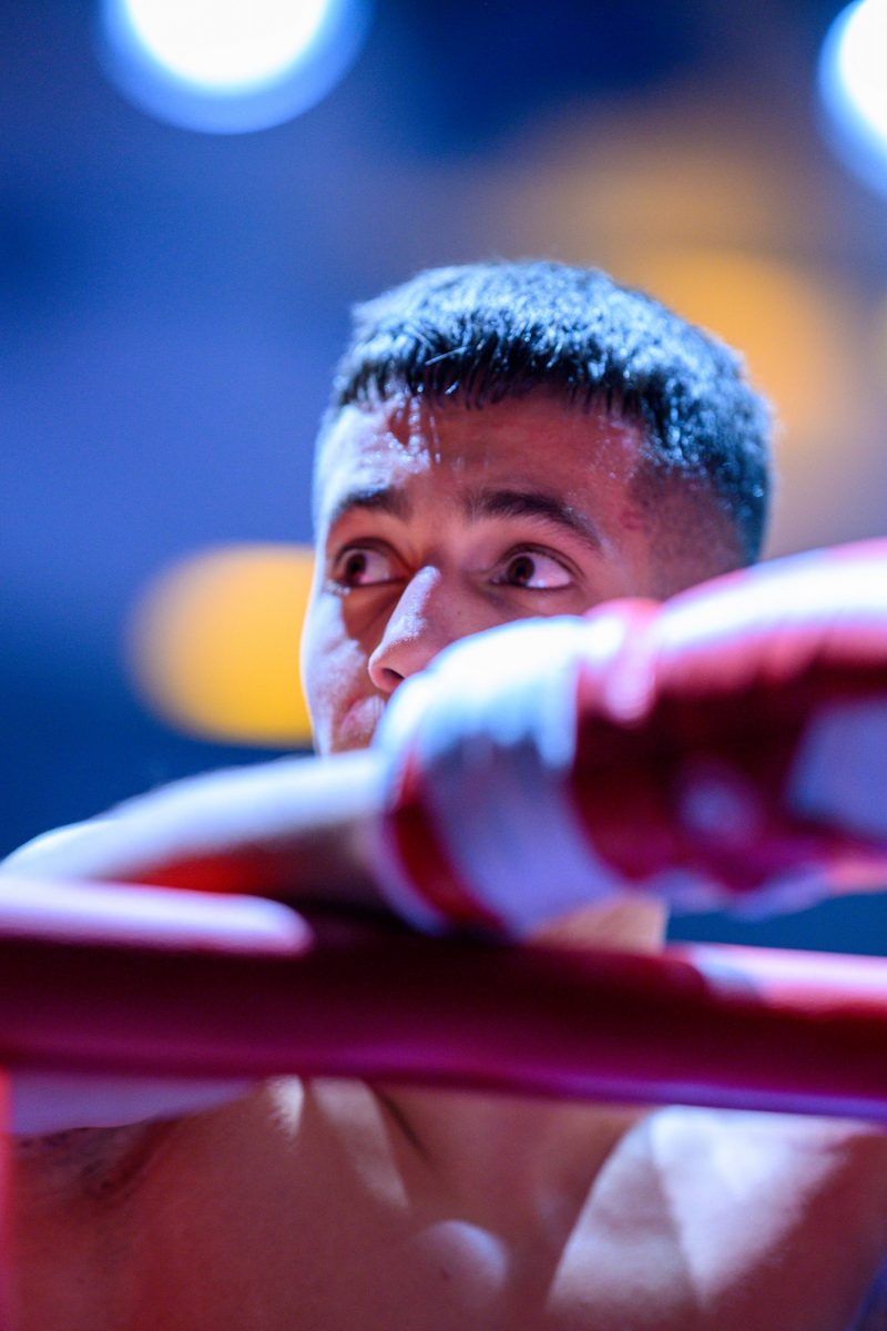 K1 Kickboxing Event, Get in the Ring #23, Hamburg, 2024