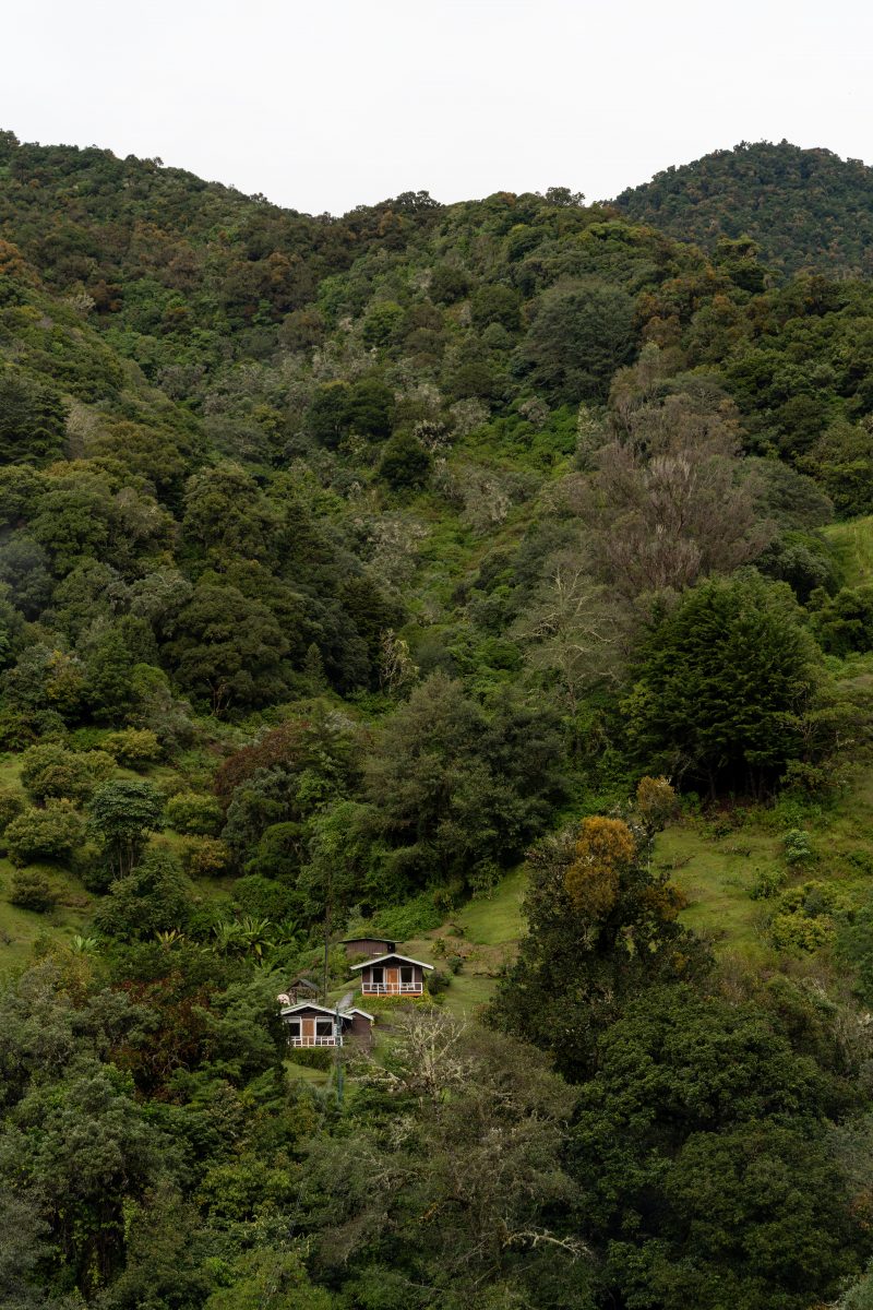 San Gerardo de Dota, Costa Rica, 2024, © Dirk Heurich, dirksn.com