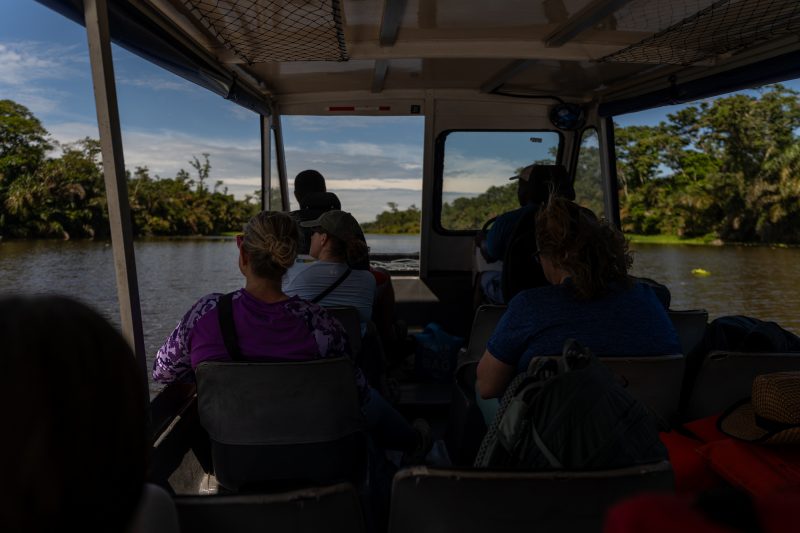 Baby turtle making its way across sandy beach to the ocean. Tortuguero, Costa Rica 2024, © Dirk Heurich, dirksn.com
