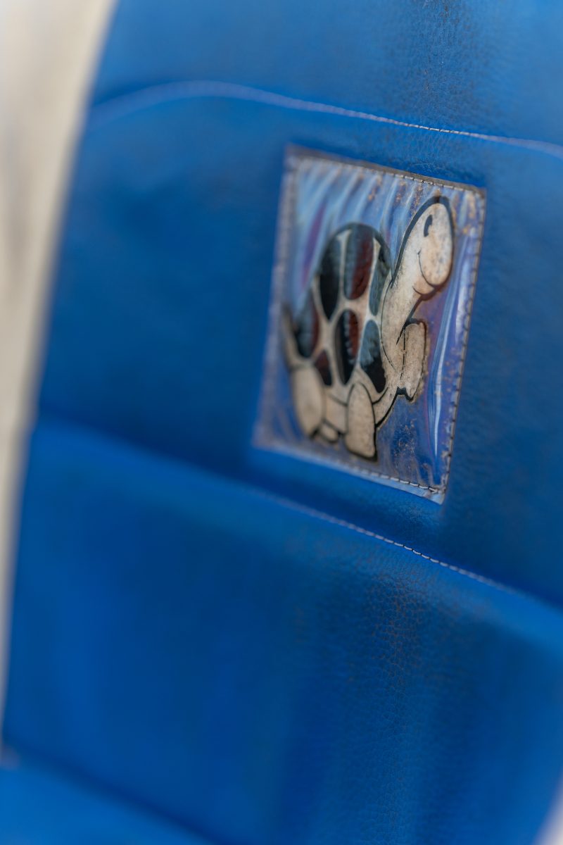 Baby turtle making its way across sandy beach to the ocean. Tortuguero, Costa Rica 2024, © Dirk Heurich, dirksn.com