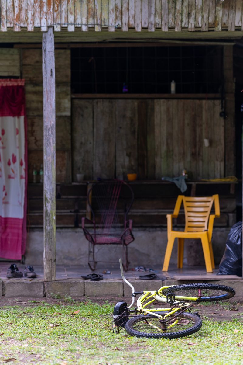 Baby turtle making its way across sandy beach to the ocean. Tortuguero, Costa Rica 2024, © Dirk Heurich, dirksn.com