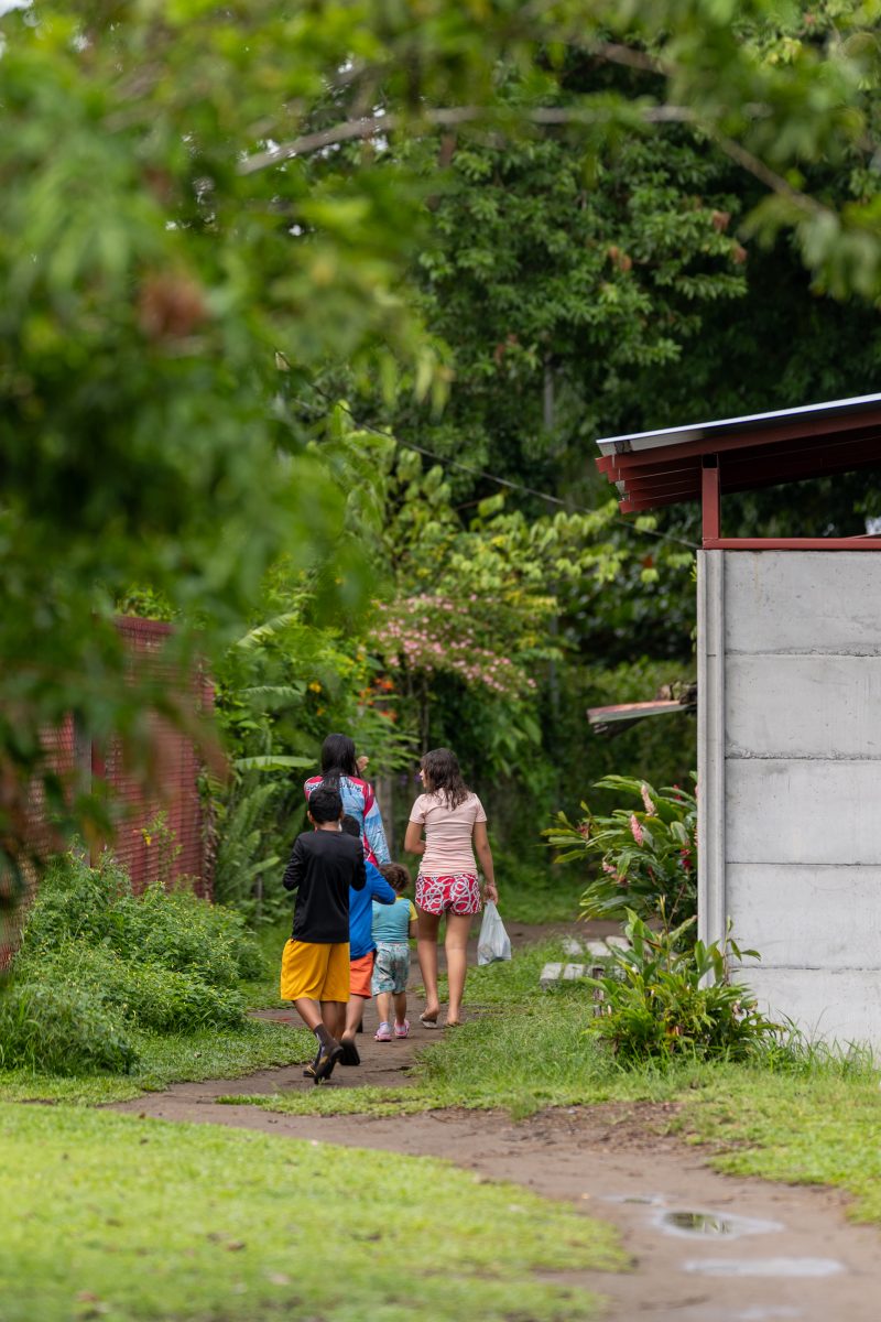 Baby turtle making its way across sandy beach to the ocean. Tortuguero, Costa Rica 2024, © Dirk Heurich, dirksn.com