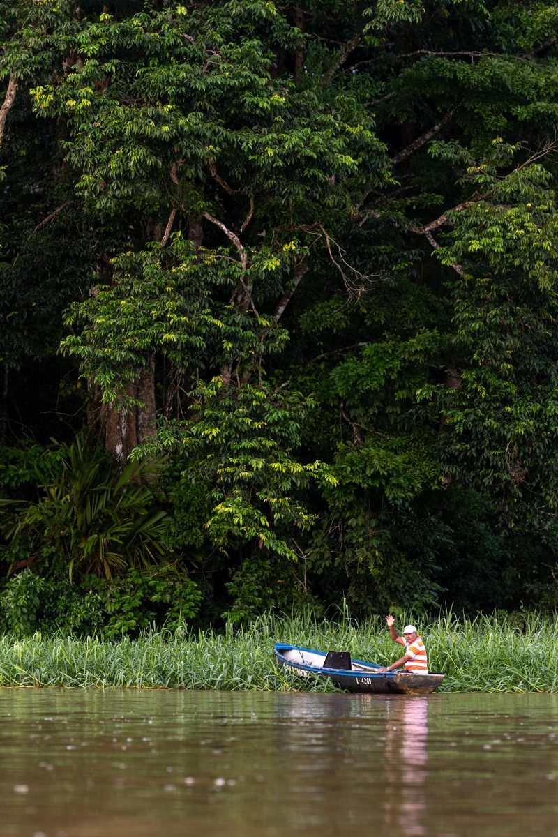 Baby turtle making its way across sandy beach to the ocean. Tortuguero, Costa Rica 2024, © Dirk Heurich, dirksn.com