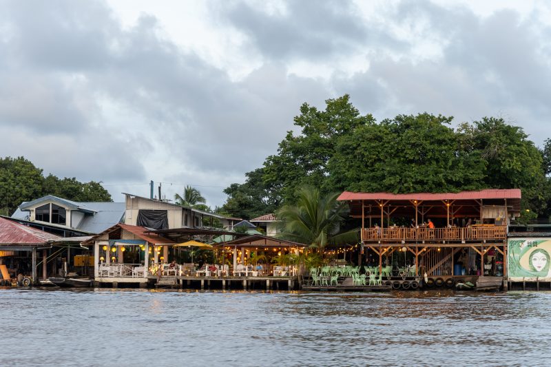 Baby turtle making its way across sandy beach to the ocean. Tortuguero, Costa Rica 2024, © Dirk Heurich, dirksn.com