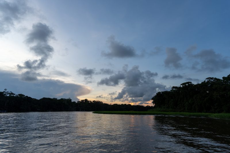 Baby turtle making its way across sandy beach to the ocean. Tortuguero, Costa Rica 2024, © Dirk Heurich, dirksn.com
