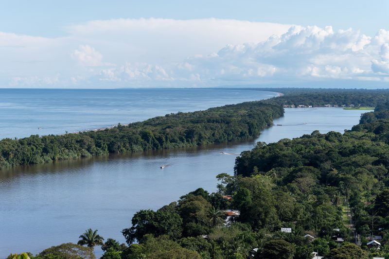 Baby turtle making its way across sandy beach to the ocean. Tortuguero, Costa Rica 2024, © Dirk Heurich, dirksn.com