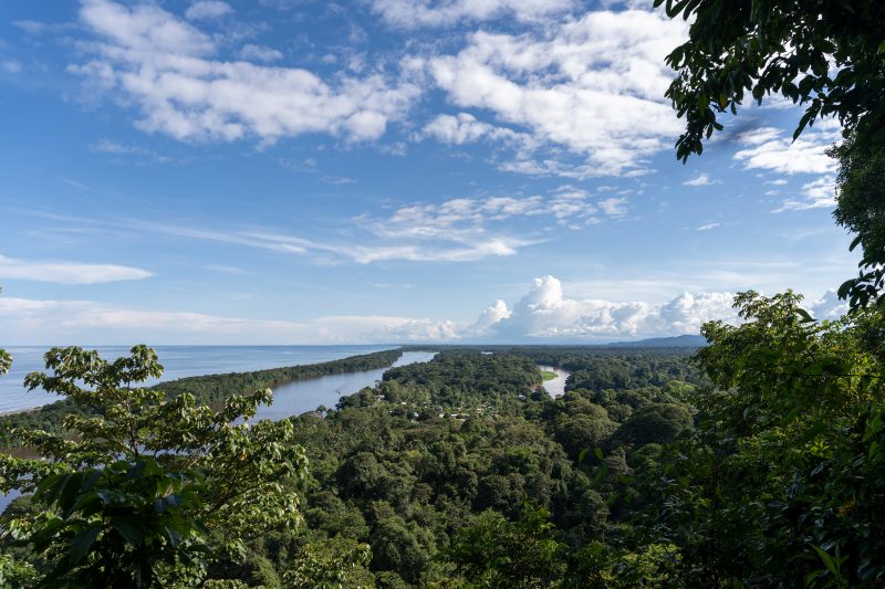 Baby turtle making its way across sandy beach to the ocean. Tortuguero, Costa Rica 2024, © Dirk Heurich, dirksn.com
