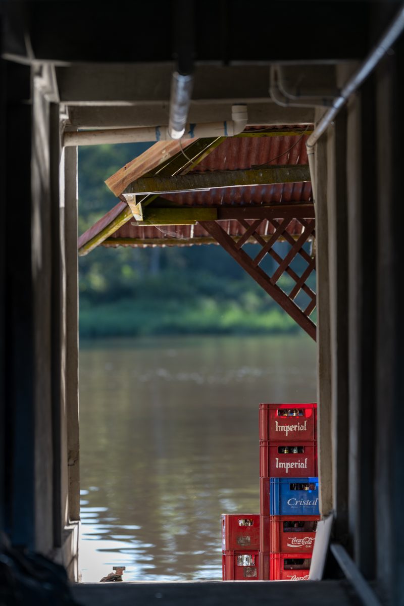 Baby turtle making its way across sandy beach to the ocean. Tortuguero, Costa Rica 2024, © Dirk Heurich, dirksn.com