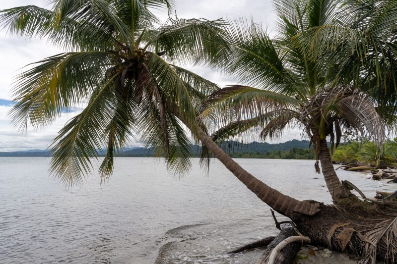 Cahuita, Costa Rica, 2024, © Dirk Heurich, dirksn.com