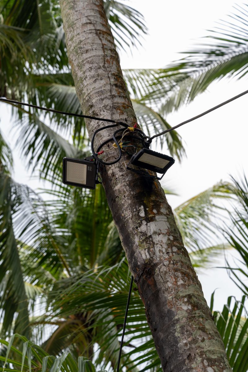 Tropical beach scene with ocean and lush green trees. Puerto Viejo de Talamanca, Costa Rica, 2024, © Dirk Heurich, dirksn.com