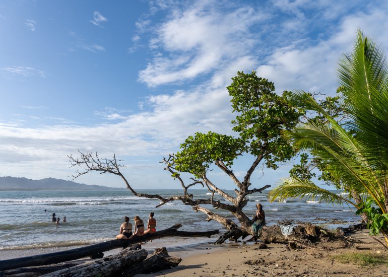 Tropical beach scene with ocean and lush green trees. Puerto Viejo de Talamanca, Costa Rica, 2024, © Dirk Heurich, dirksn.com