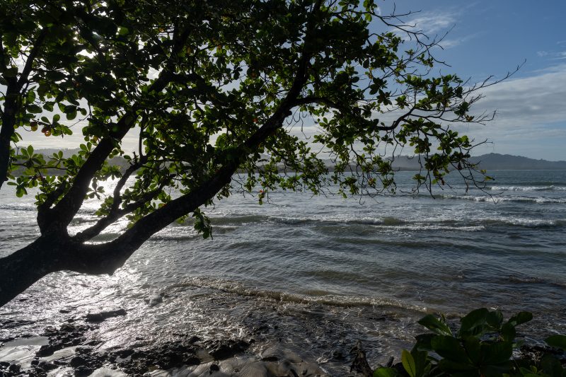 Tropical beach scene with ocean and lush green trees. Puerto Viejo de Talamanca, Costa Rica, 2024, © Dirk Heurich, dirksn.com