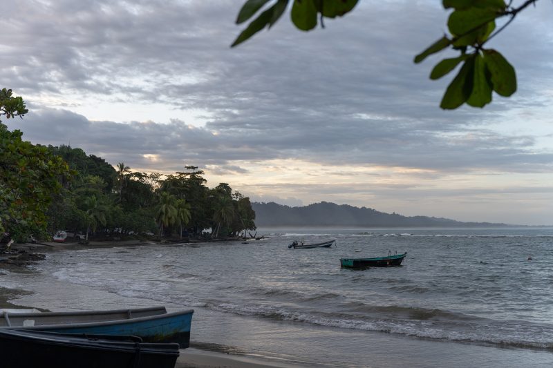 Tropical beach scene with ocean and lush green trees. Puerto Viejo de Talamanca, Costa Rica, 2024, © Dirk Heurich, dirksn.com