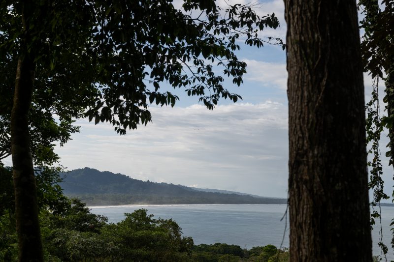 Tropical beach scene with ocean and lush green trees. Puerto Viejo de Talamanca, Costa Rica, 2024, © Dirk Heurich, dirksn.com