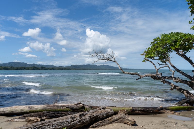 Tropical beach scene with ocean and lush green trees. Puerto Viejo de Talamanca, Costa Rica, 2024, © Dirk Heurich, dirksn.com