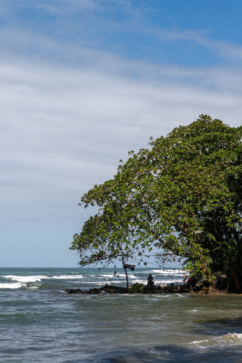 Tropical beach scene with ocean and lush green trees. Puerto Viejo de Talamanca, Costa Rica, 2024, © Dirk Heurich, dirksn.com