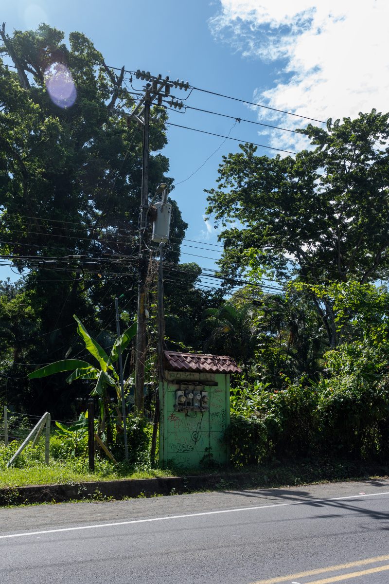 Tropical beach scene with ocean and lush green trees. Puerto Viejo de Talamanca, Costa Rica, 2024, © Dirk Heurich, dirksn.com