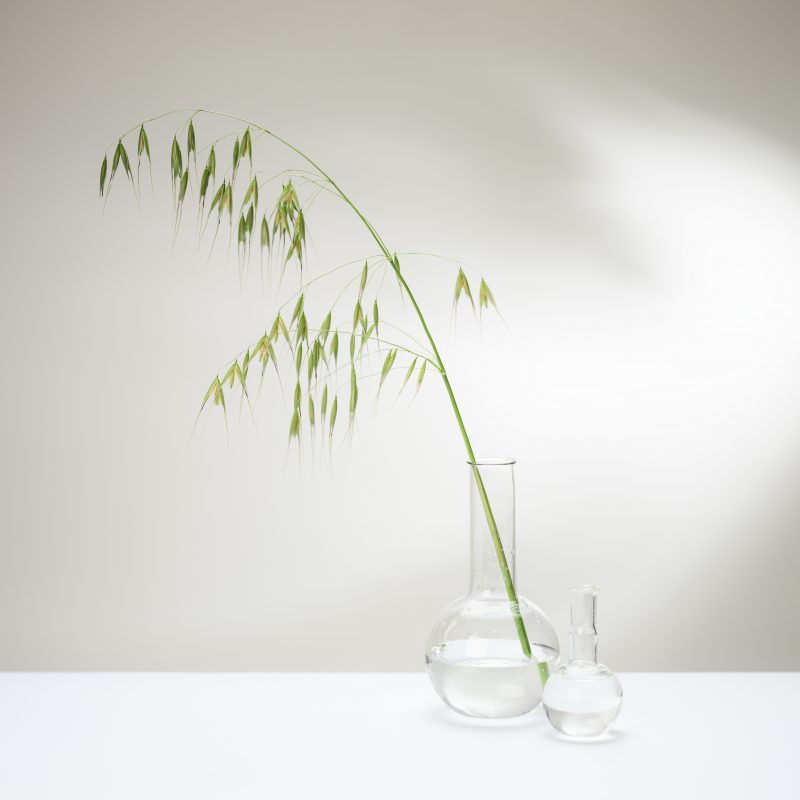 Photo studio „Schatulle“, © Dirk Heurich, dirksn.com