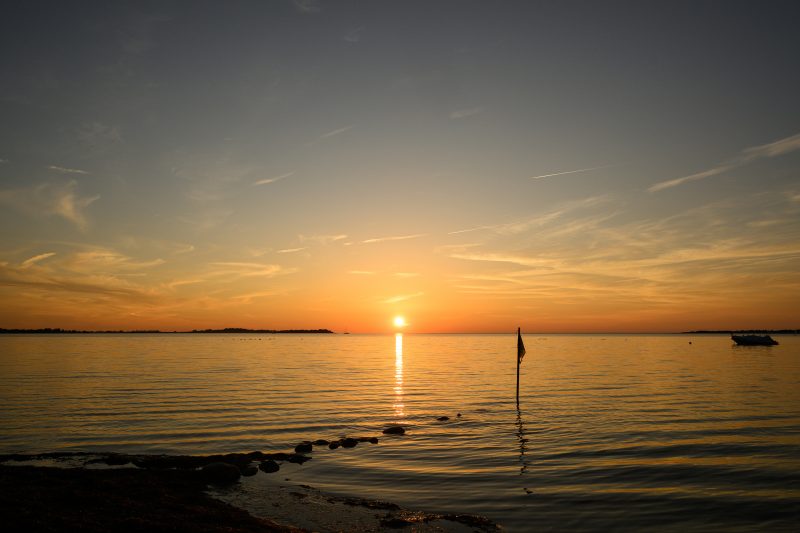 Kayaking pink plush toy on calm lake Copyright Dirk Heurich dirksn.com