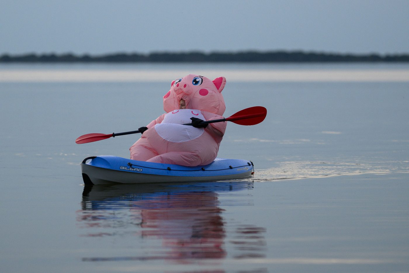 Kayaking pink plush toy on calm lake Copyright Dirk Heurich dirksn.com