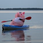 Kayaking pink plush toy on calm lake Copyright Dirk Heurich dirksn.com